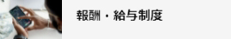 報酬・給与制度へのリンク